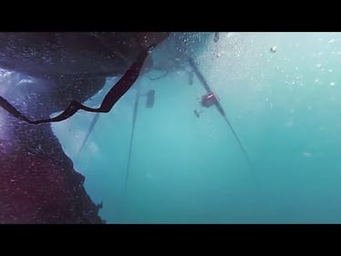 Pulled Underwater By Giant Fish!