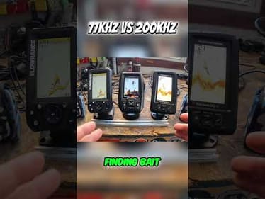 You’re Using the WRONG Sonar Frequency