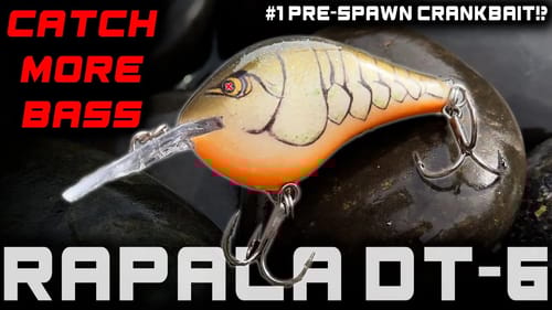 Does a Rapala DT-6 REALLY Dive 6 FEET?!