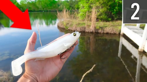 Fishing GIANT Swimbaits & JIGS in HIDDEN Pond Ep.2 (Bank Fishing)