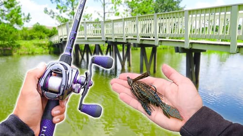 Catching GIANT Bass SKIPPING Under Trees! (Lake Fishing)