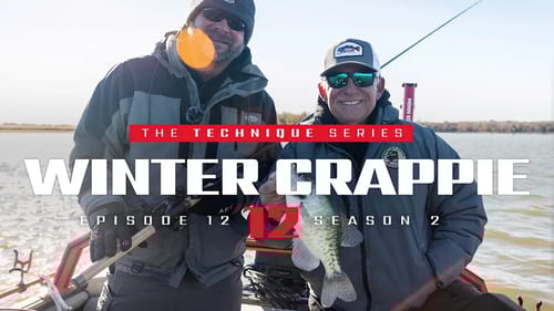 Target BIGGER Livescope Crappie with LONG Rods (Winter/Fall Crappie Fishing)