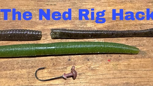 You’ll Never Fish A Ned Rig The Same Way After Watching This Hack…