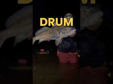 Unexpected Night Wade Fishing Adventure with a Local Angler #fishing #redfish #trout