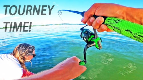 LEDGE FISHING with a DOUBLE DROP SHOT! Bass Tournament on Lake Guntersville!