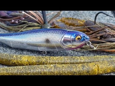 Jig Tricks To Target Bass During The Fall Transition!