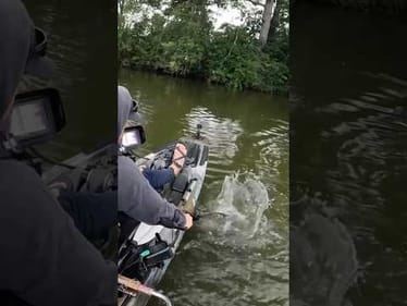 This Stupid Lure…