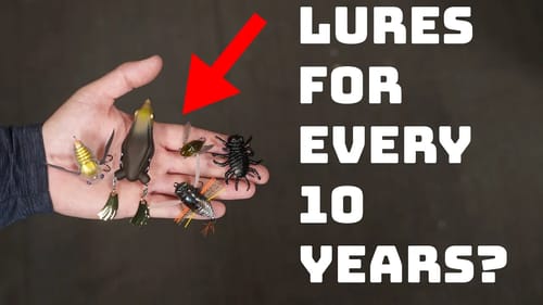 Don't Miss Out On This Specific Bite That Only Happens Every 10 Years!