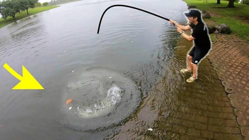 WE THOUGHT IT WAS A FISH!!! (MONSTER CREATURE)
