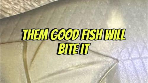 You Guys Have Got To Try This Lure Color…