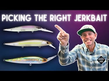 🔥PICK the RIGHT SIZE! 🎯 Suspending Jerkbait Guide (Ike in the Shop)