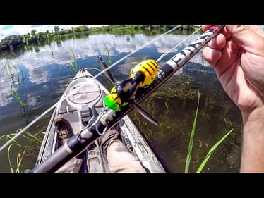 Catching Big Smallies On A Tiny Wasp Lure!