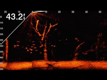 Is Livescope Becoming An Unhealthy Addiction To Some Anglers?