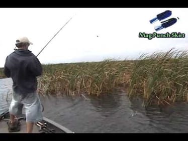 D&M Custom Baits: Punch Skirt Nuance