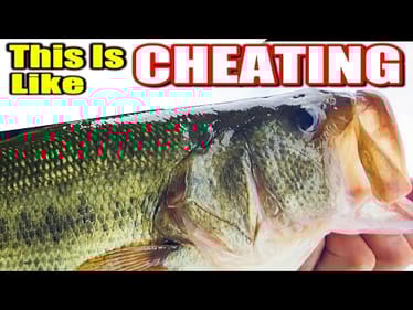 This Topwater Bait CHANGED My Fishing Forever