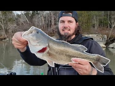 KAYAK BASS FISHING THE TOUGHEST CONDITIONS  || MUDDY, FLOODED, FREEZING ||