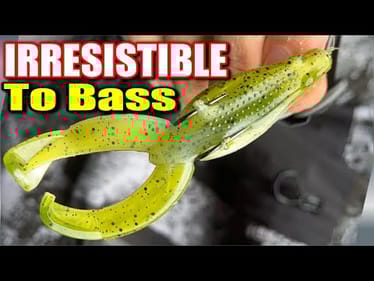 This TRICK Makes Toads IRRESISTIBLE to Fall Bass