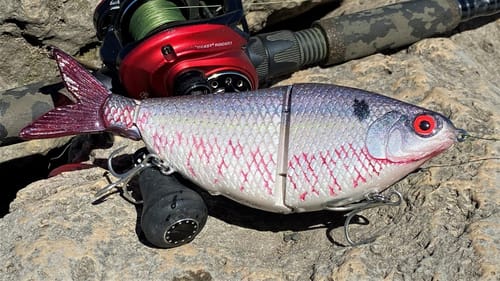 The Big Shad SwimBait | Finishing and Testing
