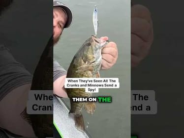 When Crankbaits And Minnows STOP Working DO THIS