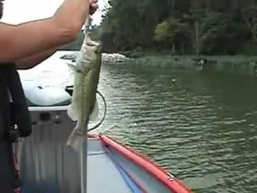 2 1/2 lb bass on Strike King Rage Toad