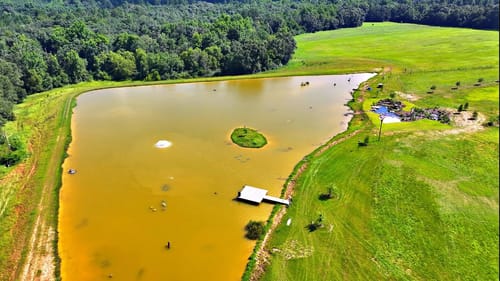 What Happened to the 5 Acre Pond (Bad News)
