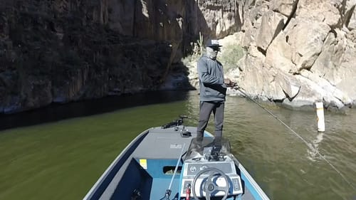 Swimbait Talk - Confidence In Different Water Clarity