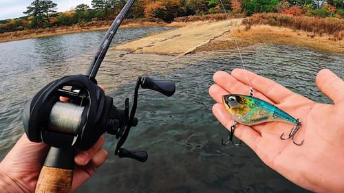 Ripping Baits As Fast As I Can To Catch Fish || Fall Bass Fishing