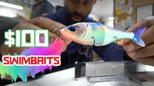$100 SWIMBAITS