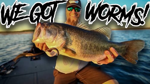 Big Bass Eat Big Worms In The Heat! It's 100+ Degrees But We Are STILL CHASING The Dragon!