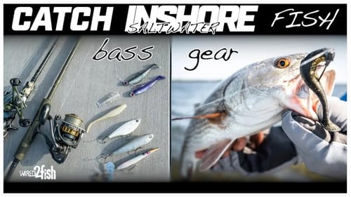 Starter Inshore Saltwater Fishing Gear | What You Need