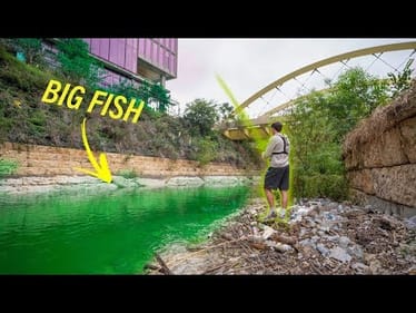 Hidden Fishing In Downtown Austin Texas -- MUTANT BASS?? (Pt. 1)