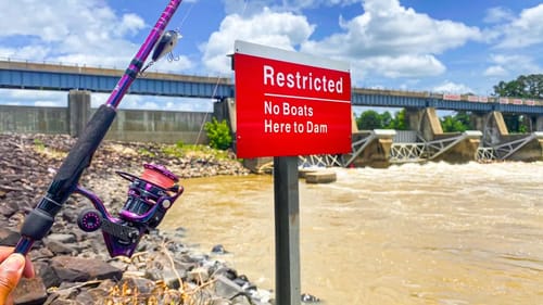 Fishing DANGEROUS DAM For BIG FISH (MULTI SPECIES CHALLENGE)