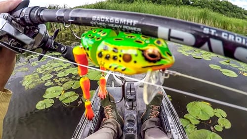 Hammering Bass With Freddy The Frog!