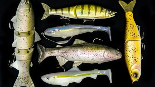 Spring Swimbait Fishing For Bass: Everything You Need To Know!