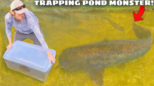 I Finally TRAPPED The POND MONSTER!
