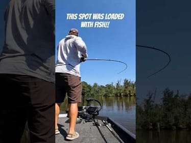 THIS SPOT WAS LOADED WITH FISH #fishing #largemouthbass #bassfishing #bass #lake