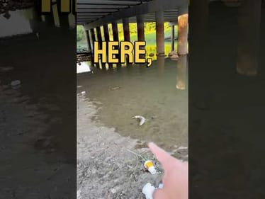 Fishing in a Sketchy Creek Leads to Unexpected Catch #fishing