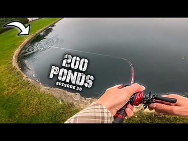 I don't know why THIS LURE works so well...