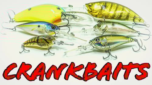 Buyer's Guide: Deep Diving Crankbaits For Winter And Summer Bass Fishing