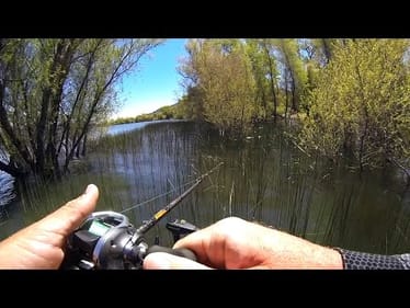 Frog Fishing Challenge - Cold Water!