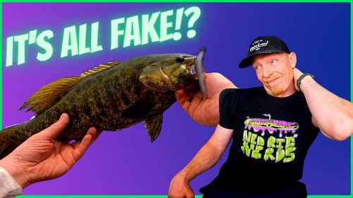 Am I A LIAR!?