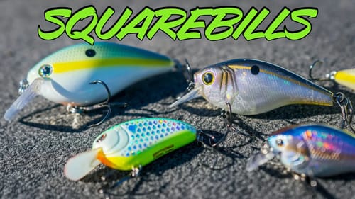 Squarebill Crankbait Tricks To Catch Fall Bass