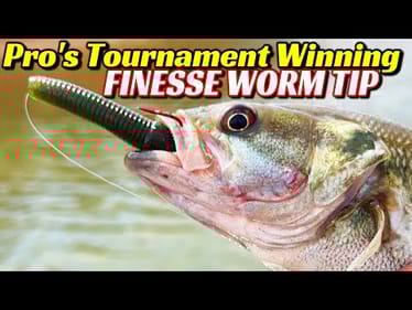 Spring Fishing Just Got EASY With This One Simple Tip