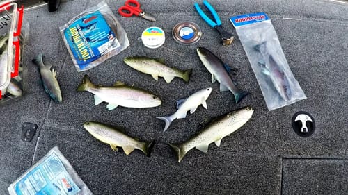 How To Rig Swimbaits (The BEST Way You've NEVER Heard Of)