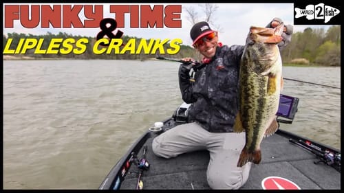 Ike’s Lipless Crankbait Lessons for Prespawn Bass