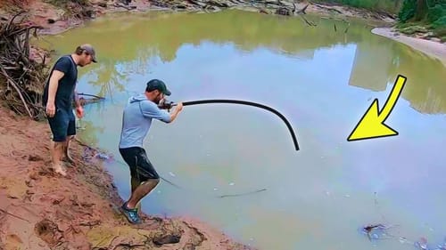 We THOUGHT IT WAS A FISH!! (DANGEROUS)