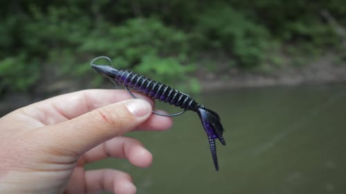 Flipping HEAVY COVER for Bass on BEDS!