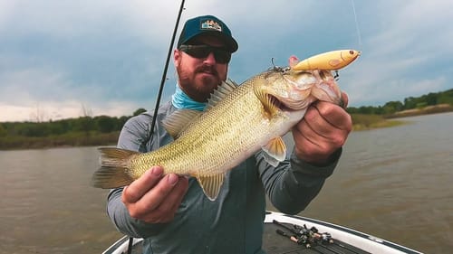Whopper Plopper Fishing in Oklahoma