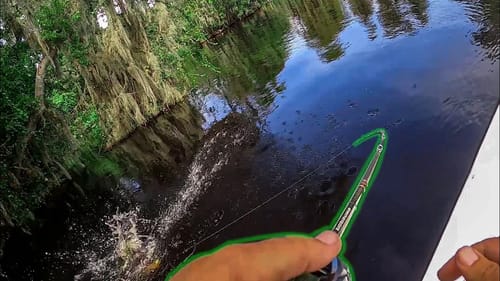 I Couldn't Keep Fish Off This Bait!