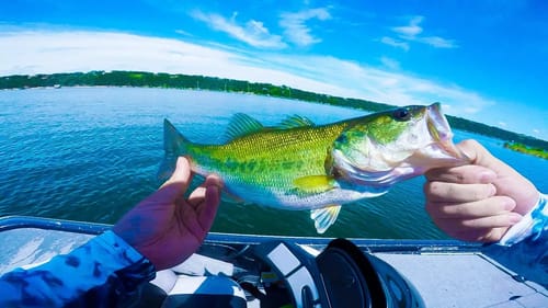 HOT Afternoon Largemouth SLAM FEST with UNDERWATER RELEASE FOOTAGE!